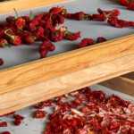 Calabrese | Southlake, Texas | Italian Flare Centered on Fresh Ingredients