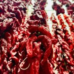 Calabrese | Southlake, Texas | Italian Flare Centered on Fresh Ingredients