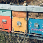 Calabrese | Southlake, Texas | Italian Flare Centered on Fresh Ingredients