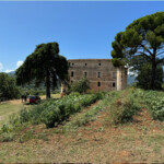 Calabrese | Southlake, Texas | Italian Flare Centered on Fresh Ingredients