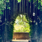 Calabrese | Southlake, Texas | Italian Flare Centered on Fresh Ingredients