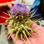 Calabrese | Southlake, Texas | Italian Flare Centered on Fresh Ingredients